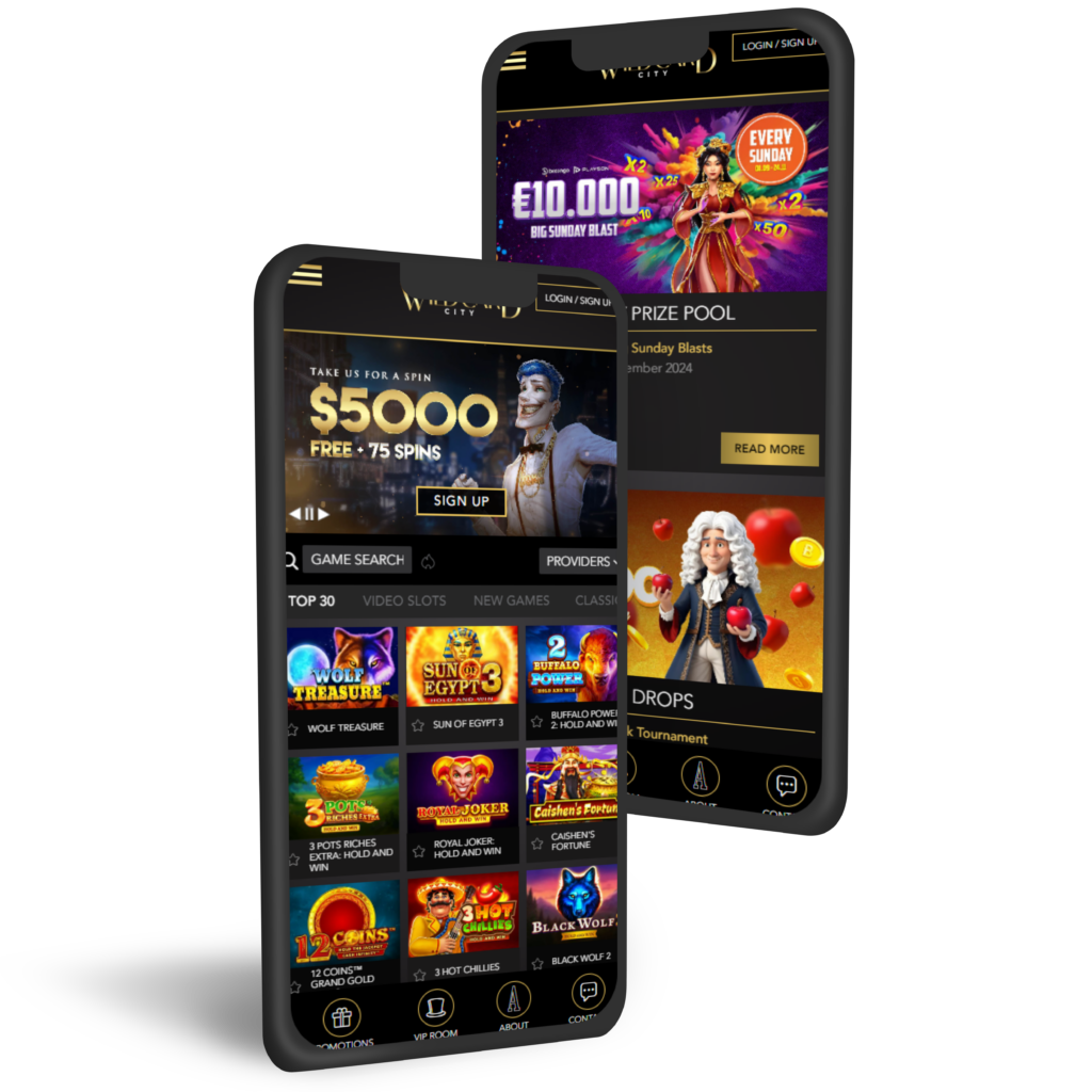 Wildcardcity Mobile App Interface